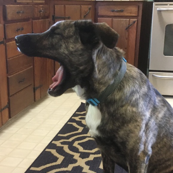 Meet your Posher, Erika - Picture 1 of 1